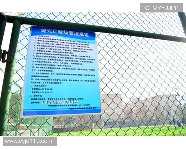 南京足球队运营新模式探讨与发展前景分析 南京足球队运营新模式探讨与发展前景分析