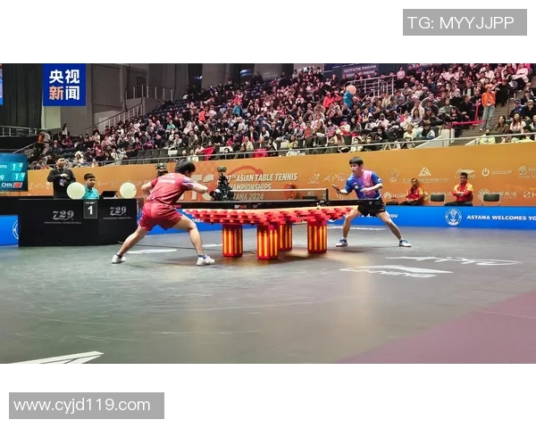 杨敏独家分享乒乓球技巧与心得助你提升球技的秘诀与经验